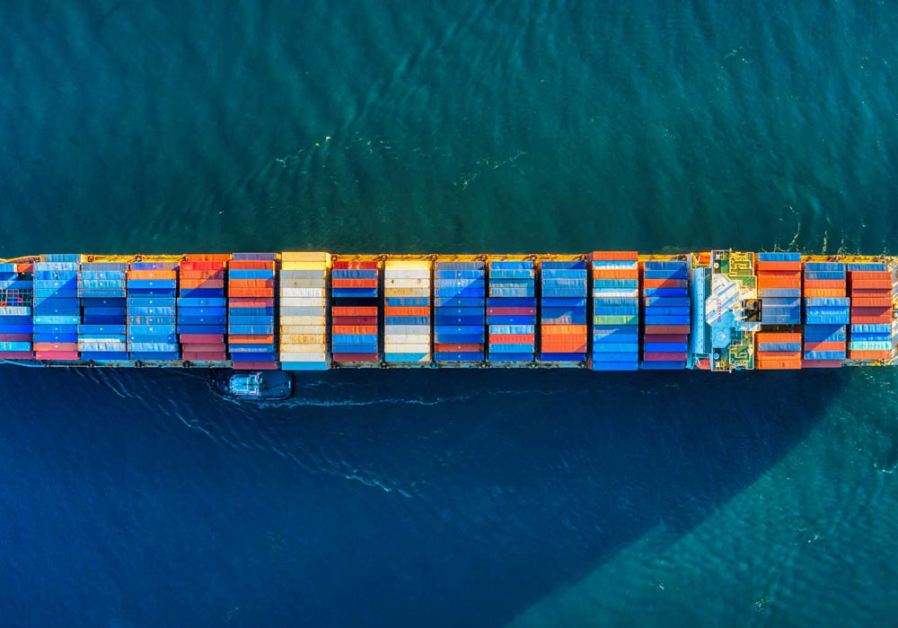 International business and investments