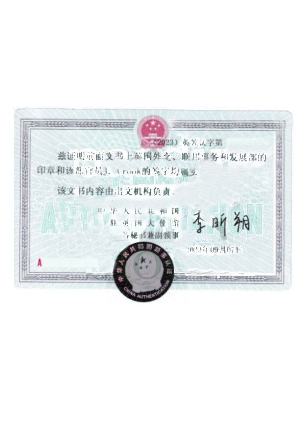 Embassy Attestation – Sample